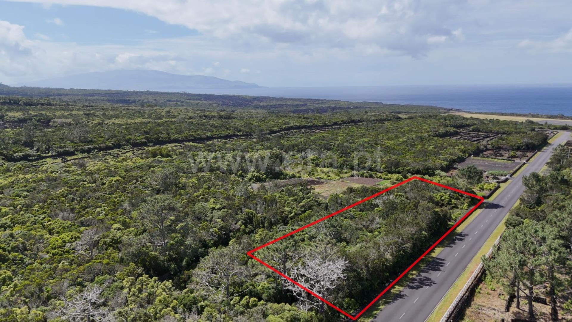 Land for sale in Vila Nova de Gaia, Portugal — €109,000