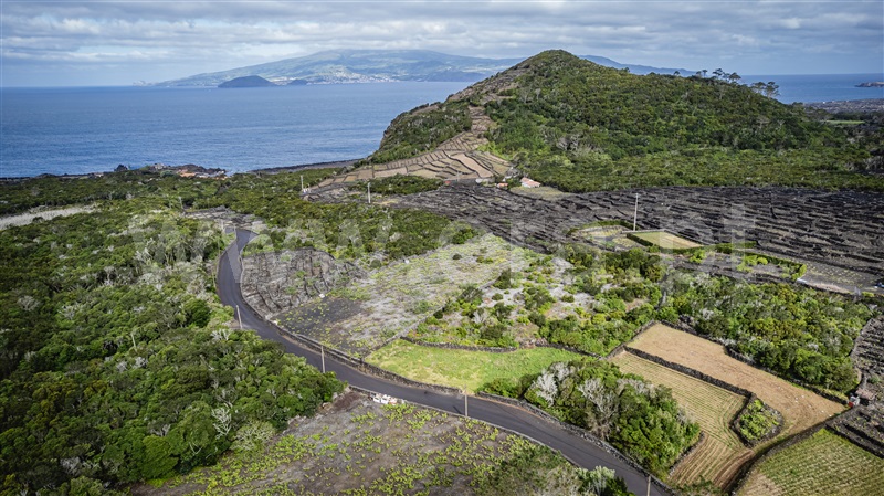 Terreno para Construção / Madalena, Candelária