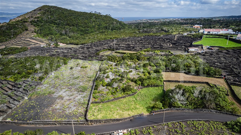 Terreno para Construção  com Vista Mar Madalena, Candelária - 1364951 - 7