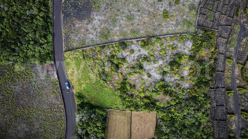 Terreno para Construção  com Vista Mar Madalena, Candelária - 1364951 - 8