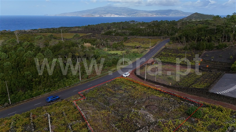 Terreno para Construção / Madalena, Candelária