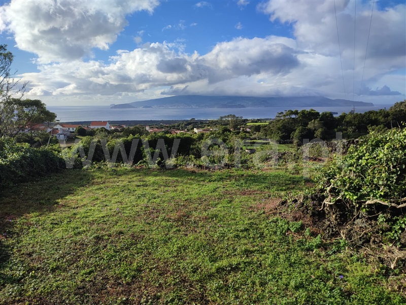 Terreno para Construção / Madalena, Criação Velha