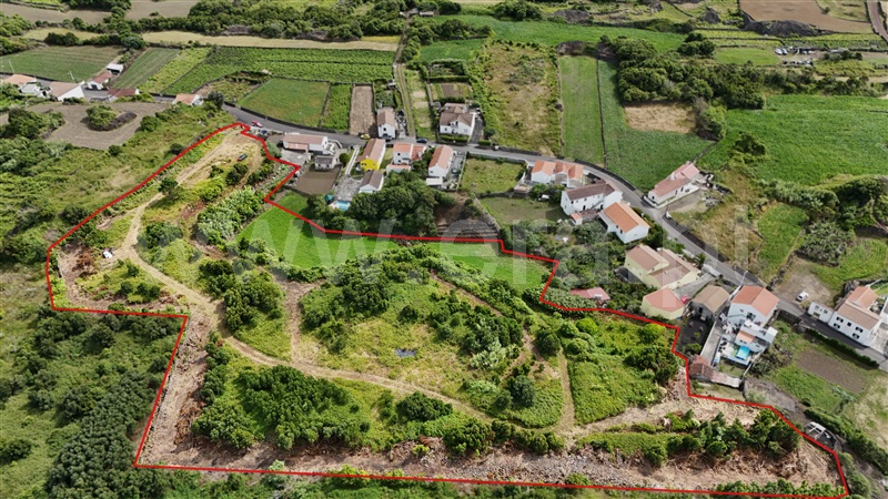 Terreno para Construção  Madalena - 1490234 - 4