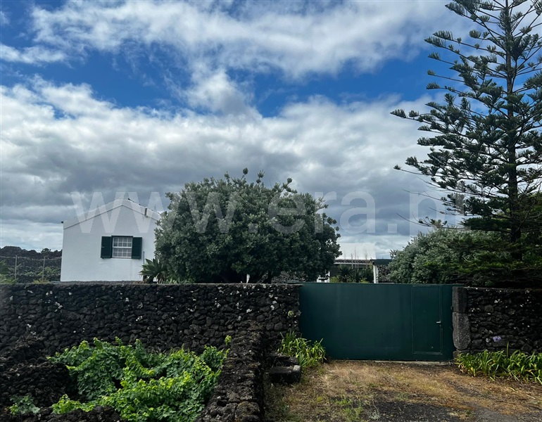Terreno para Construção / Madalena, Madalena