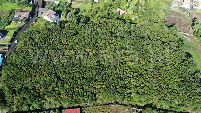 Terreno para Construção  Madalena - 1503355 - 2