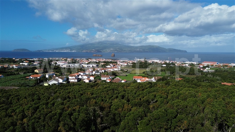 Terreno para Construção / Madalena, Madalena