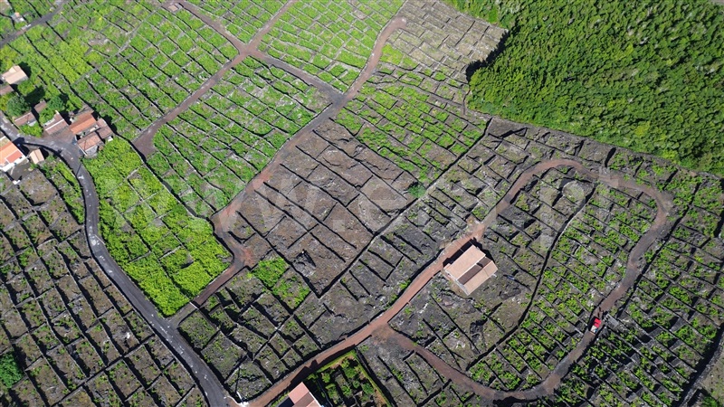 Terreno para Construção  Madalena, São Mateus - 1489149 - 5