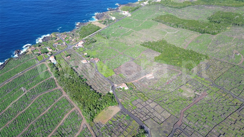 Terreno para Construção / Madalena, São Mateus