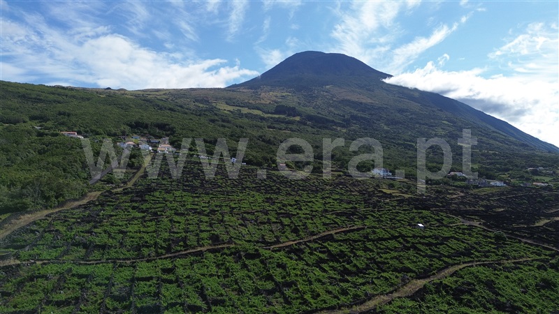 Terreno para Construção  Madalena, São Mateus - 1489149 - 7