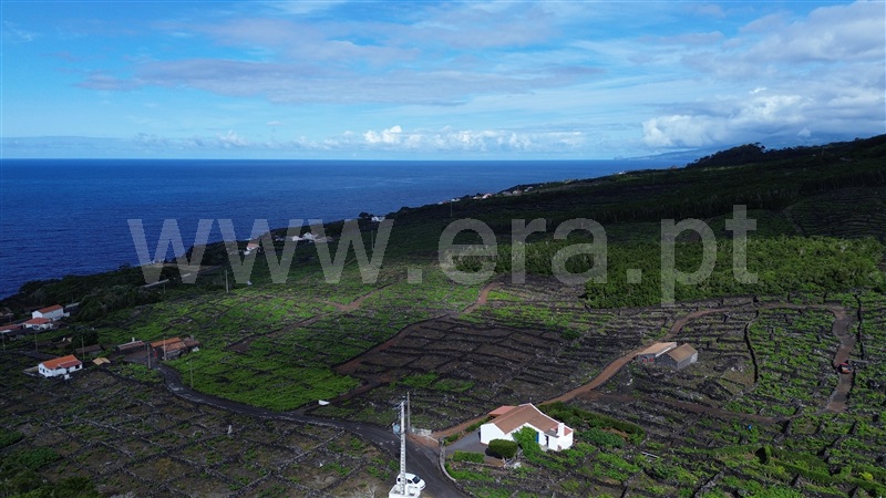 Terreno para Construção  Madalena, São Mateus - 1489149 - 10