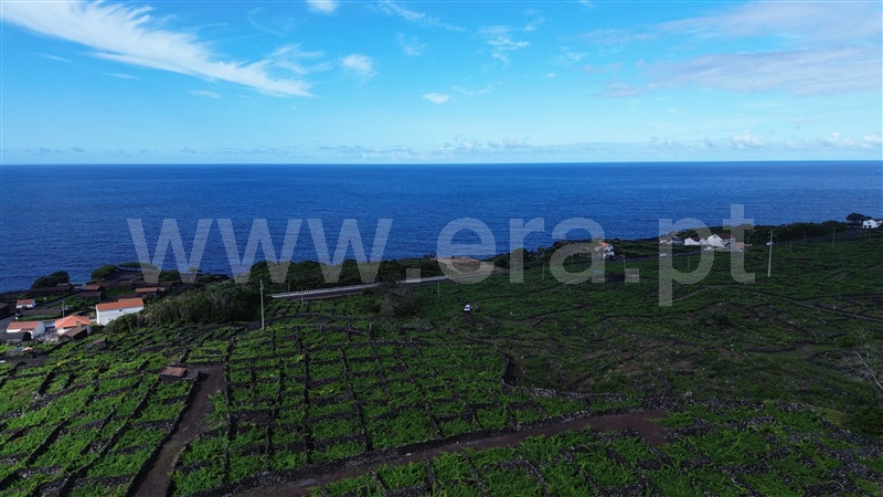 Terreno para Construção  Madalena, São Mateus - 1489149 - 11