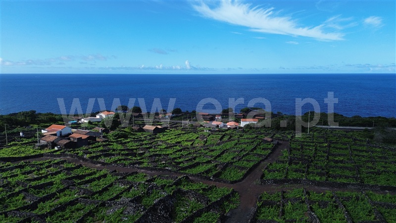 Terreno para Construção  Madalena, São Mateus - 1489149 - 12
