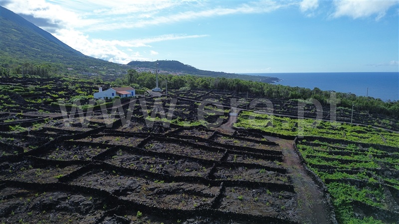 Terreno para Construção  Madalena, São Mateus - 1489149 - 13