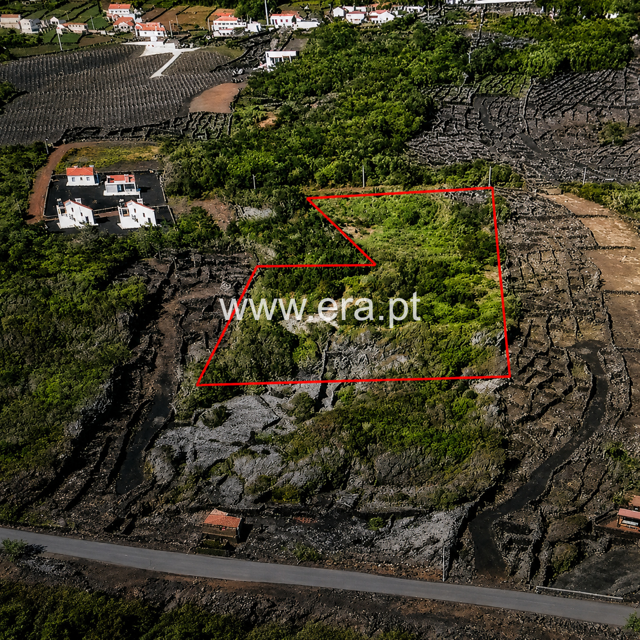 Terreno para Construção / Madalena, São Mateus