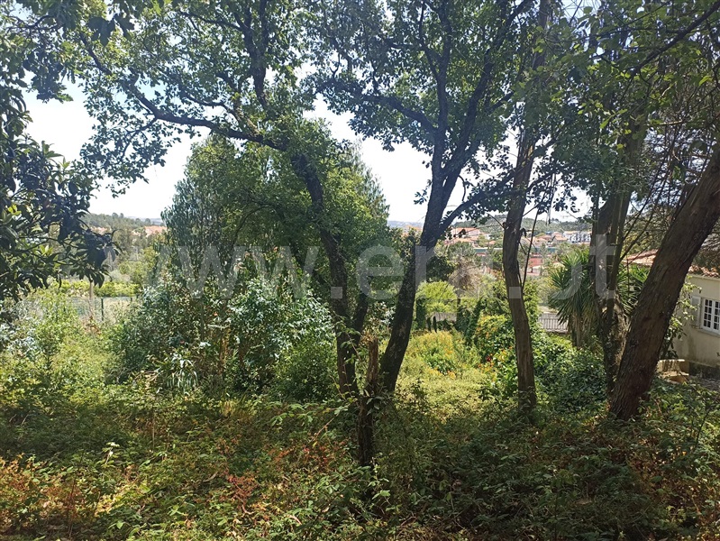 Terreno para Construção  Mafra, Asseiceira Pequena - 1249458 - 3
