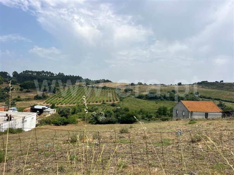 Terreno para Construção / Mafra, Cheleiros, Mafra