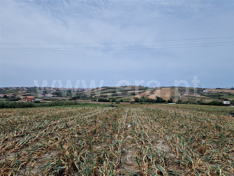 Terreno para Construção / Mafra, Encarnação, Mafra