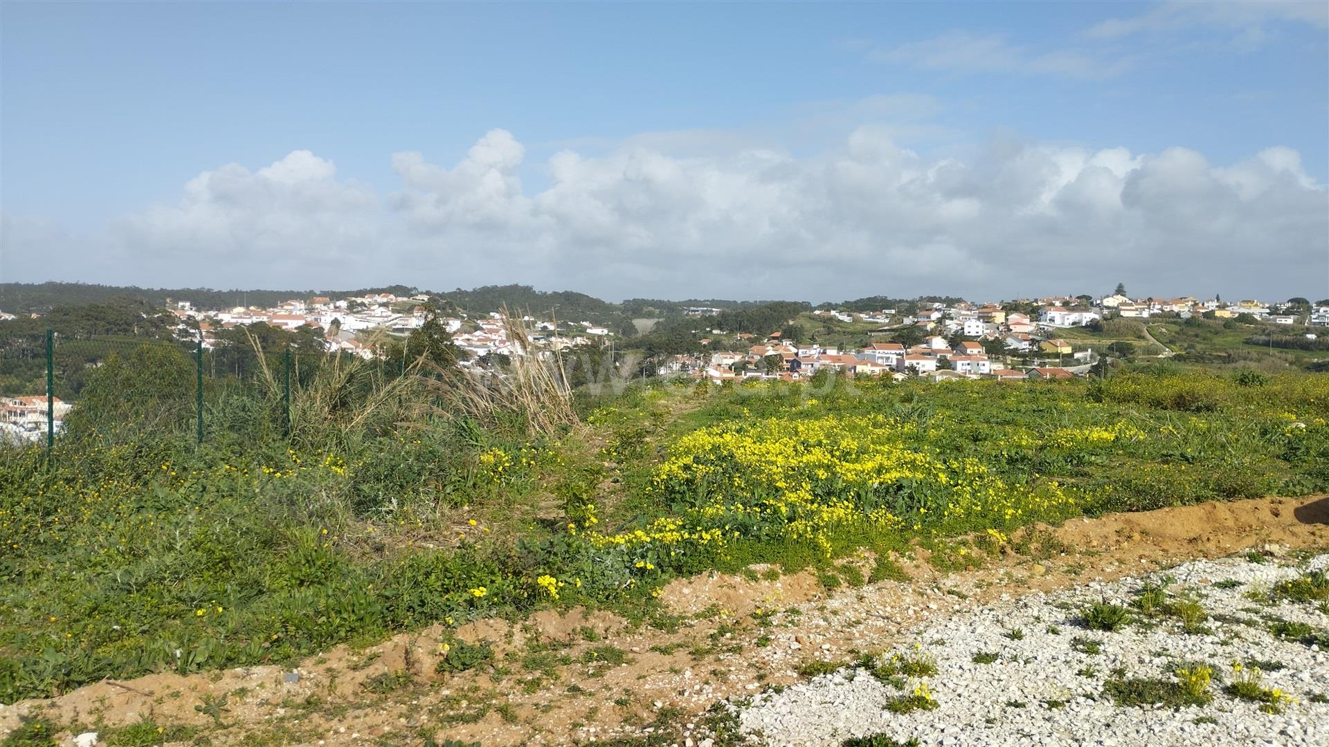 Land for sale in Mafra, Portugal — €2,500,000