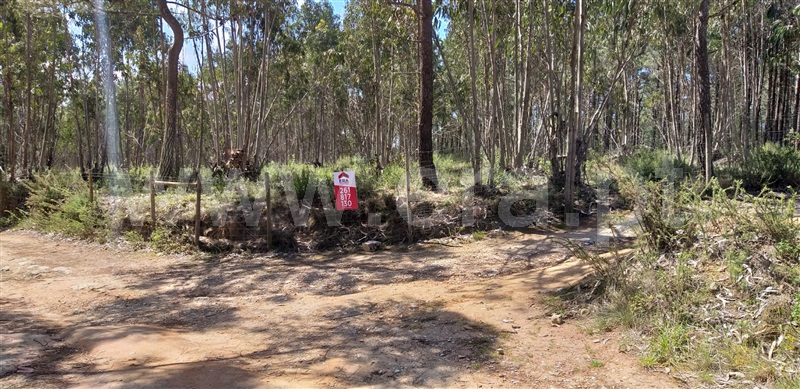 Terreno para Construção  Mafra, Ericeira Periferia - 1214209 - 9
