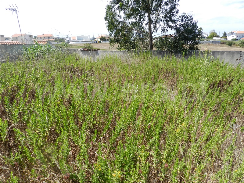 Terreno para Construção  Mafra, Mafra Periferia - 1108154 - 5