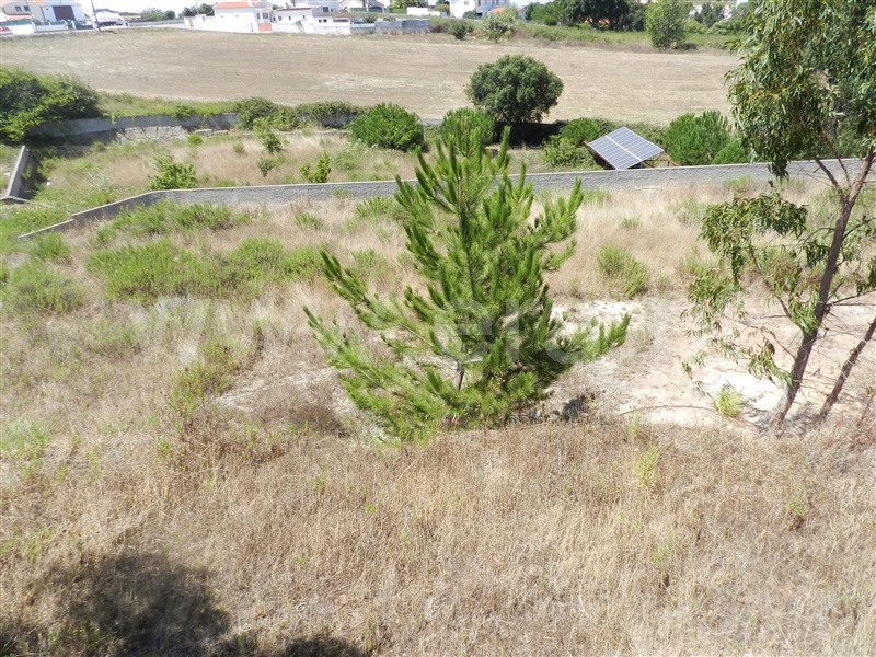Terreno para Construção  Mafra, Mafra Periferia - 1108154 - 6