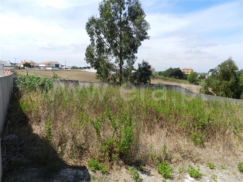 Terreno para Construção  Mafra, Mafra Periferia - 1108154 - 13