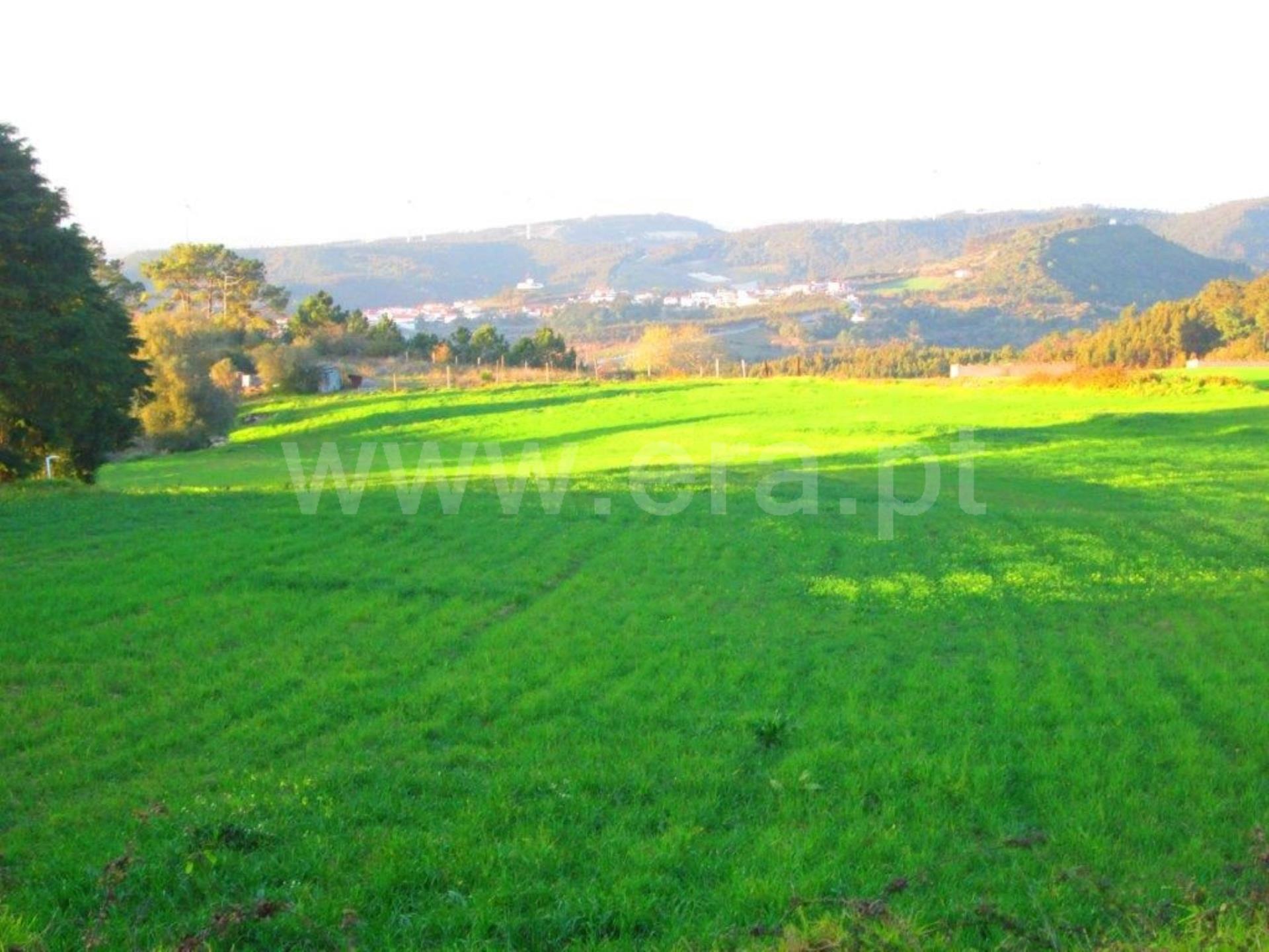 Land for sale in Mafra, Portugal — €450,000