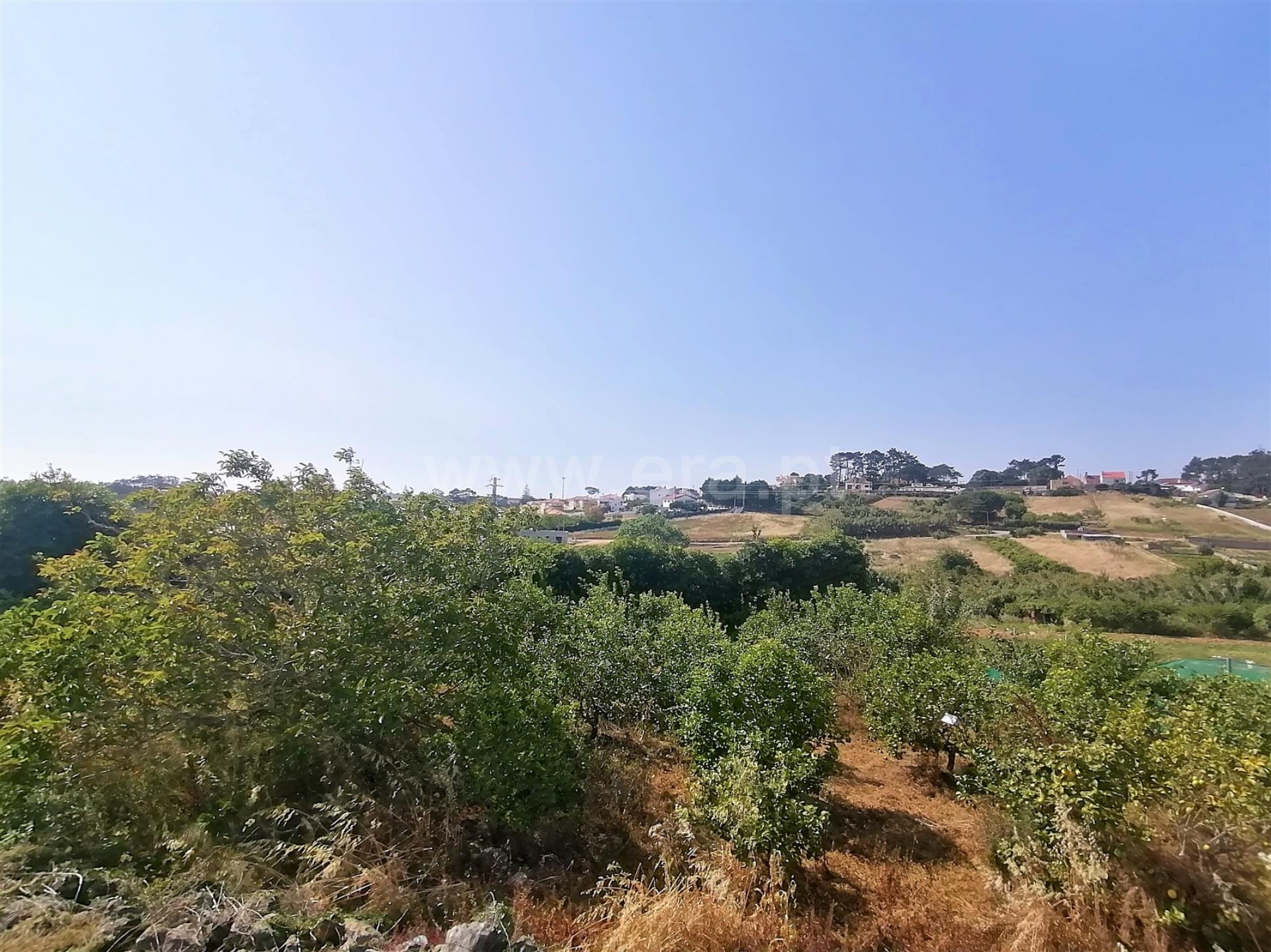 Land for sale in Mafra, Portugal — €250,000