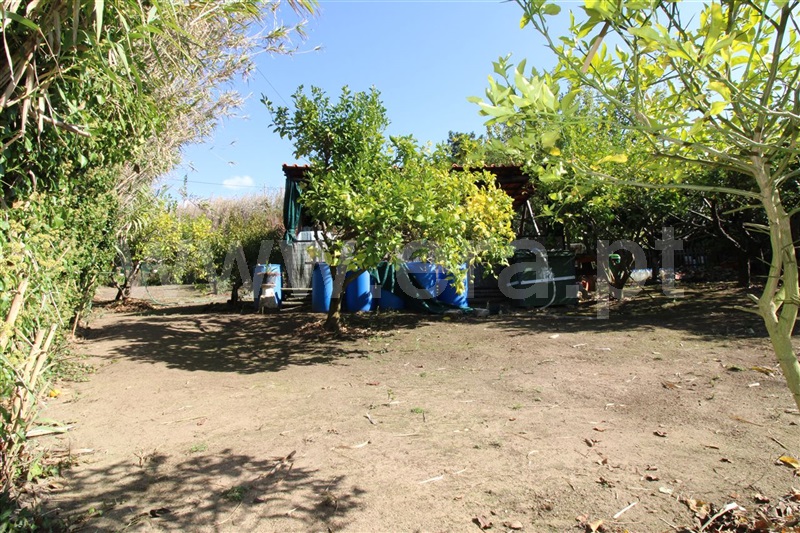 Terreno para Construção  Mafra, Mafra Periferia - 1492101 - 19