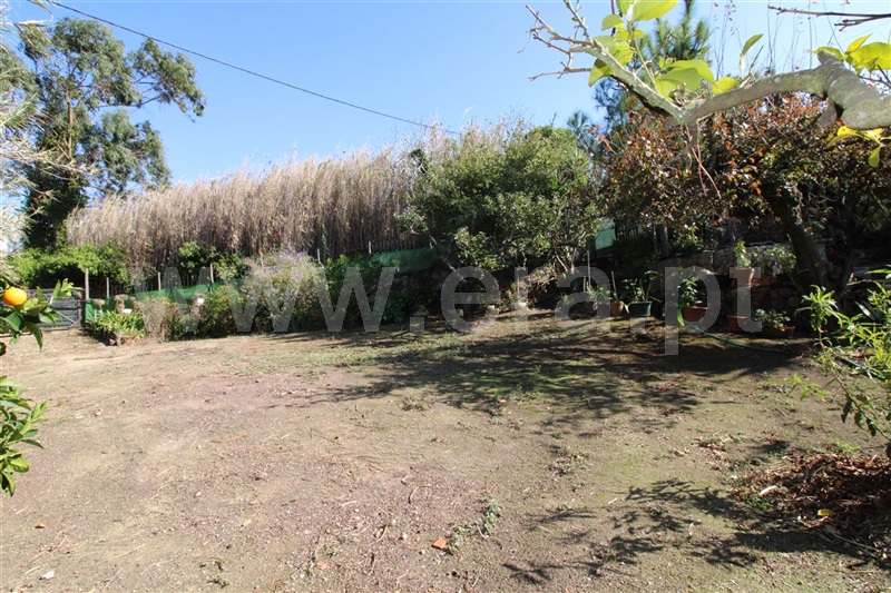 Terreno para Construção  Mafra, Mafra Periferia - 1492101 - 20