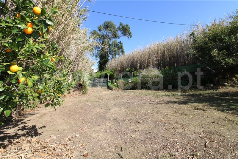 Terreno para Construção  Mafra, Mafra Periferia - 1492101 - 21