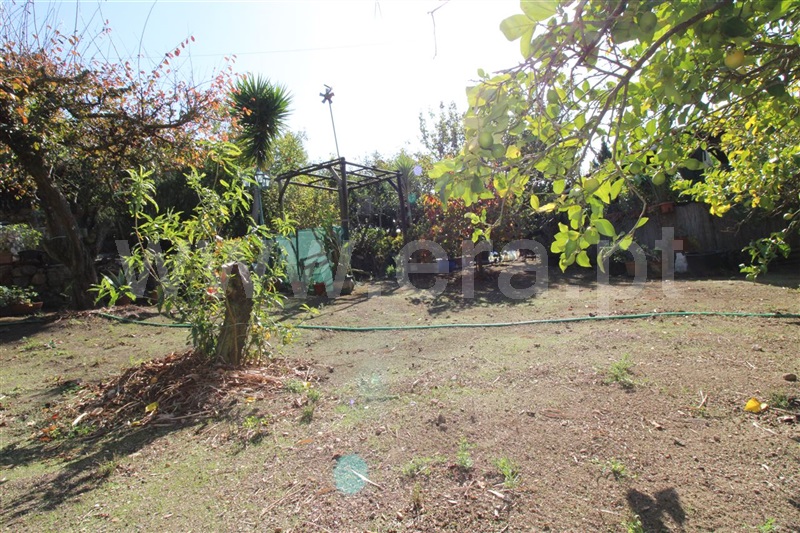 Terreno para Construção  Mafra, Mafra Periferia - 1492101 - 22