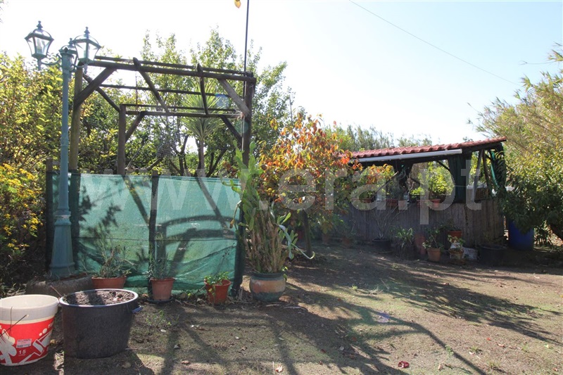 Terreno para Construção  Mafra, Mafra Periferia - 1492101 - 23