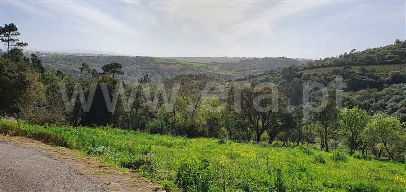 Terreno para Construção  Mafra, Mafra Periferia - 1492101 - 30