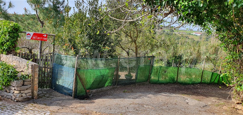 Terreno para Construção  Mafra, Mafra Periferia - 1492101 - 36