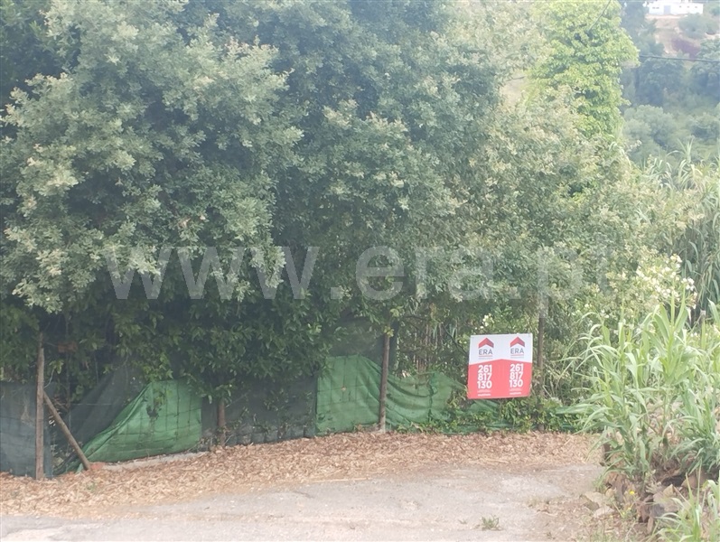Terreno para Construção  com Rústico Mafra, Mafra Periferia - 1492101 - 24