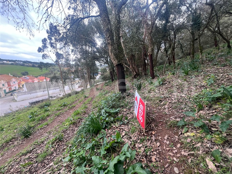 Terreno para Construção  com Urbano Mafra, Milharado - 1459252 - 2