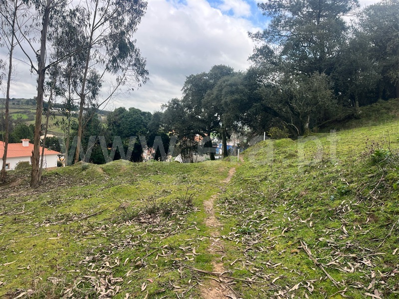Terreno para Construção  com Urbano Mafra, Milharado - 1459252 - 3