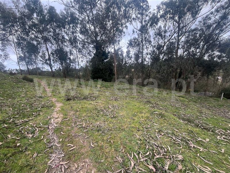 Terreno para Construção  com Urbano Mafra, Milharado - 1459252 - 11