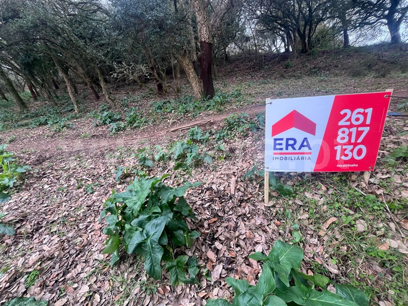 Terreno para Construção  com Urbano Mafra, Milharado - 1459252 - 12