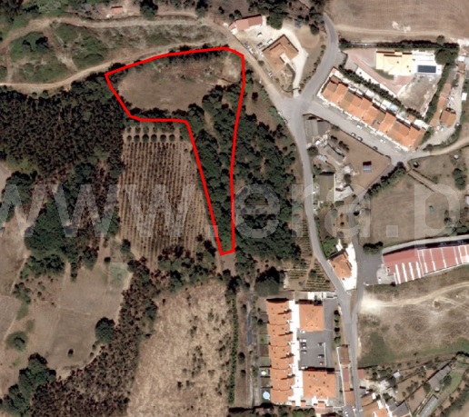 Terreno para Construção  com Urbano Mafra, Milharado - 1459252 - 18