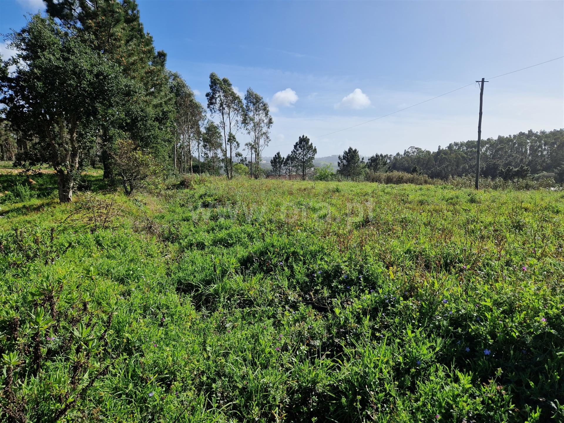 Land for sale in Mafra, Portugal — €295,000