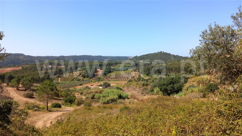 Terreno Rústico  Mafra, Sobral da Abelheira, Mafra - 1431091 - 3