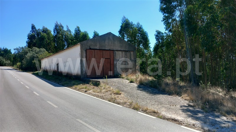 Terreno Rústico  Mafra, Sobral da Abelheira, Mafra - 1431091 - 6