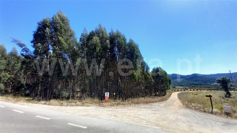 Terreno para Construção / Mafra, Sobral da Abelheira, Mafra