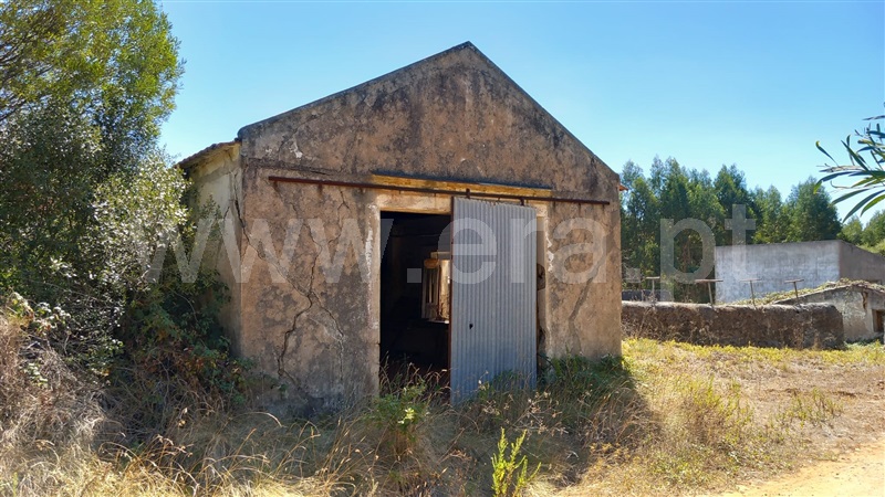 Terreno Rústico  Mafra, Sobral da Abelheira, Mafra - 1431091 - 9