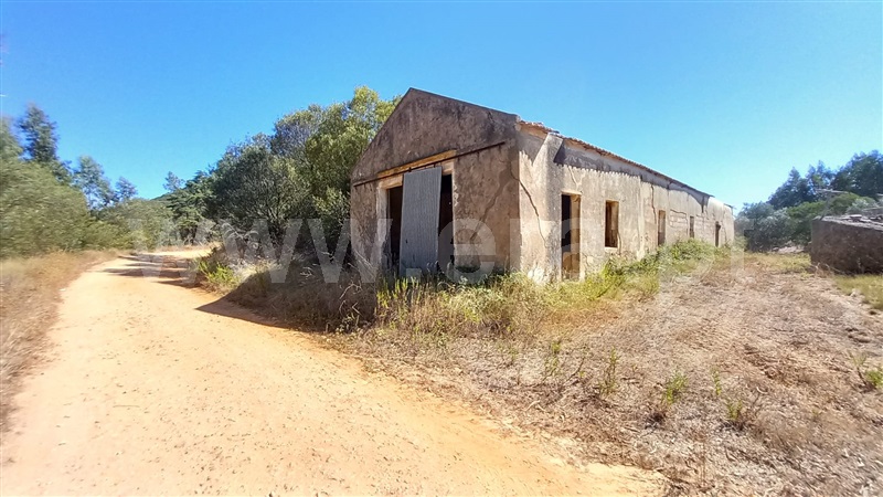 Terreno Rústico  Mafra, Sobral da Abelheira, Mafra - 1431091 - 18