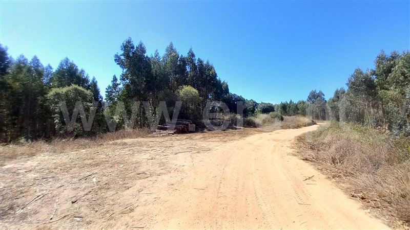 Terreno Rústico  Mafra, Sobral da Abelheira, Mafra - 1431091 - 19