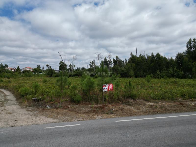 Terreno para Construção T-2 Mangualde, - 1345127 - 2