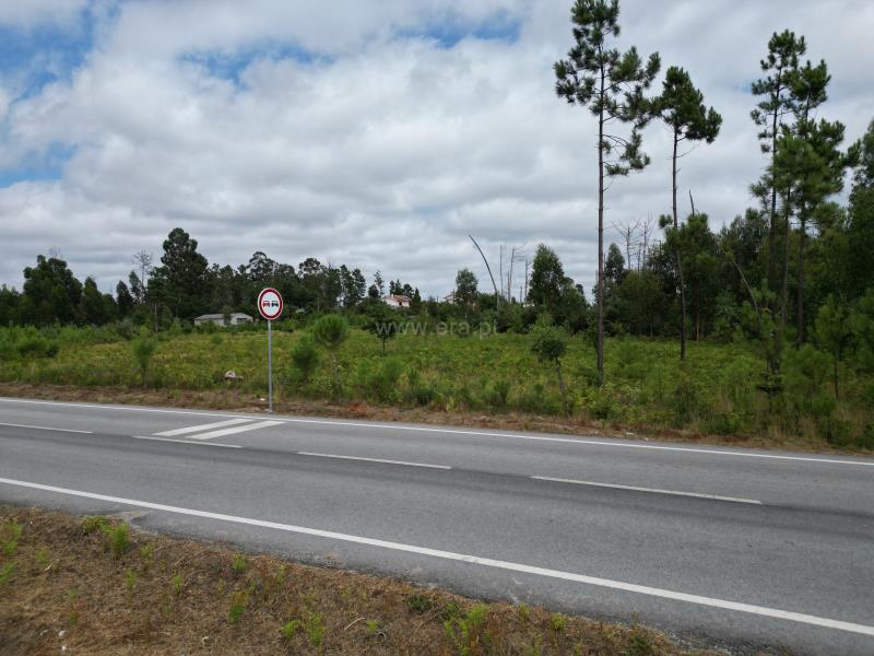 Terreno para Construção T-2 Mangualde, - 1345127 - 4